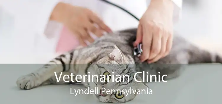 Veterinarian Clinic Lyndell Pennsylvania