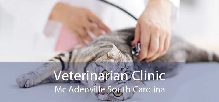 Veterinarian Clinic Mc Adenville South Carolina