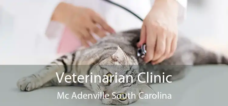 Veterinarian Clinic Mc Adenville South Carolina