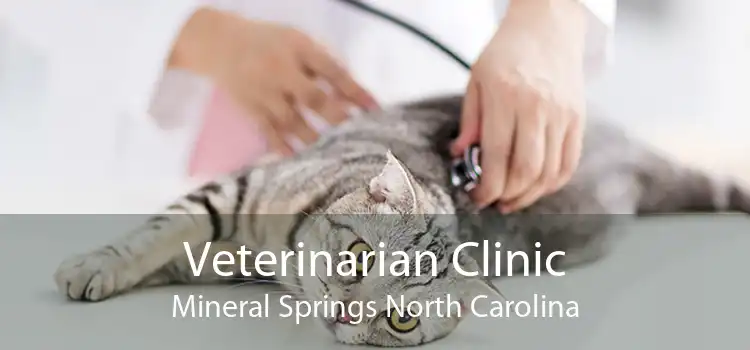 Veterinarian Clinic Mineral Springs North Carolina