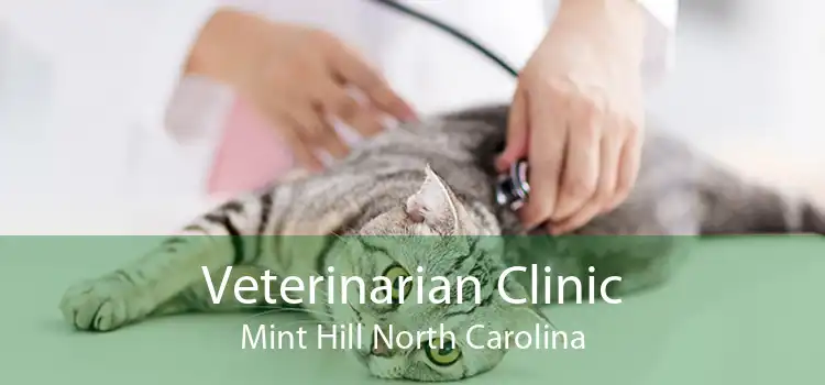 Veterinarian Clinic Mint Hill North Carolina