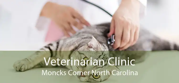 Veterinarian Clinic Moncks Corner North Carolina