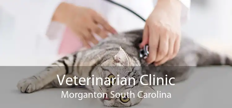 Veterinarian Clinic Morganton South Carolina