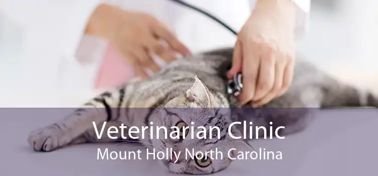 Veterinarian Clinic Mount Holly North Carolina