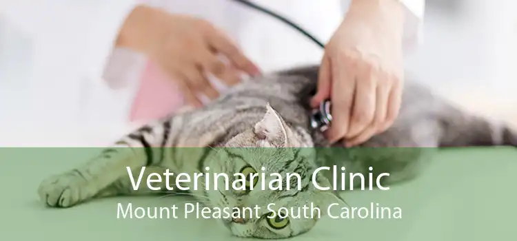 Veterinarian Clinic Mount Pleasant South Carolina