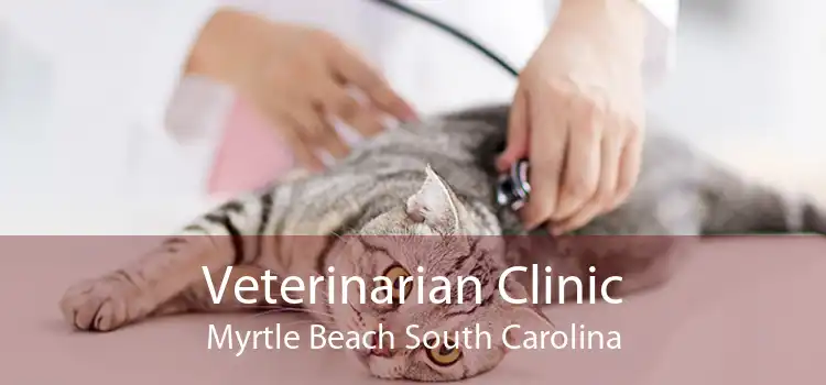 Veterinarian Clinic Myrtle Beach South Carolina