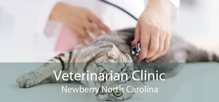 Veterinarian Clinic Newberry North Carolina
