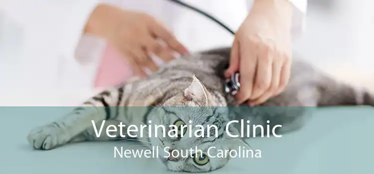 Veterinarian Clinic Newell South Carolina