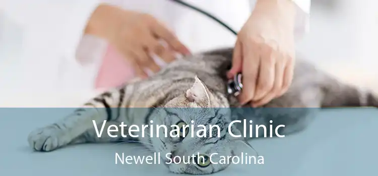 Veterinarian Clinic Newell South Carolina