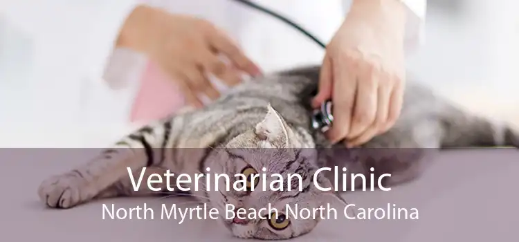 Veterinarian Clinic North Myrtle Beach North Carolina
