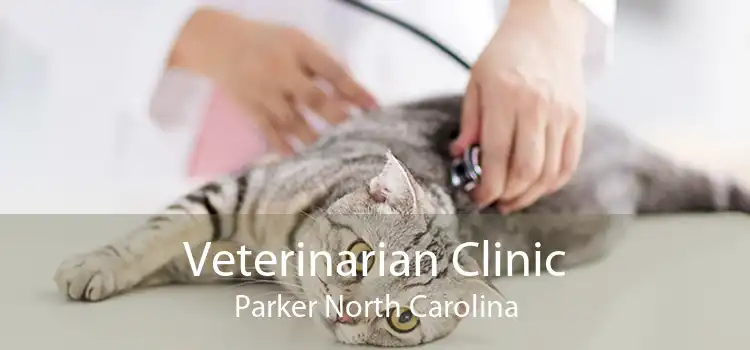 Veterinarian Clinic Parker North Carolina