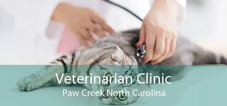 Veterinarian Clinic Paw Creek North Carolina