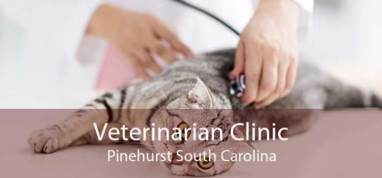 Veterinarian Clinic Pinehurst South Carolina