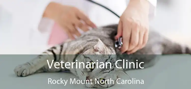 Veterinarian Clinic Rocky Mount North Carolina