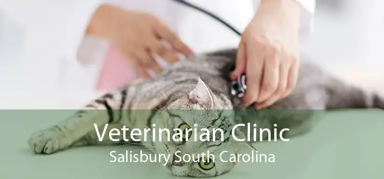 Veterinarian Clinic Salisbury South Carolina