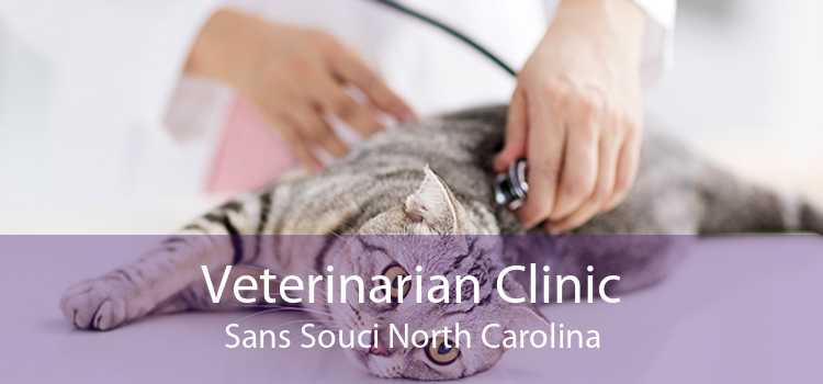 Veterinarian Clinic Sans Souci North Carolina