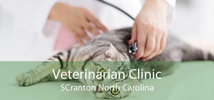 Veterinarian Clinic Scranton North Carolina
