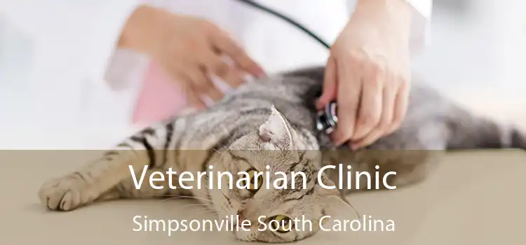 Veterinarian Clinic Simpsonville South Carolina