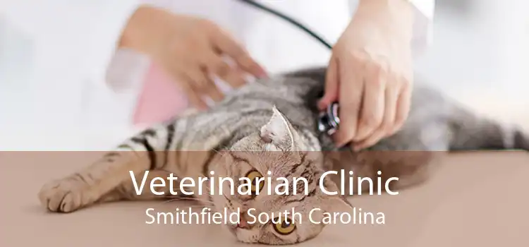 Veterinarian Clinic Smithfield South Carolina
