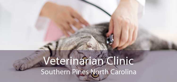 Veterinarian Clinic Southern Pines North Carolina