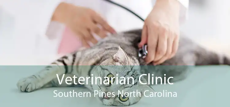 Veterinarian Clinic Southern Pines North Carolina
