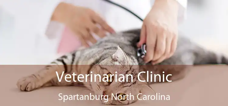 Veterinarian Clinic Spartanburg North Carolina