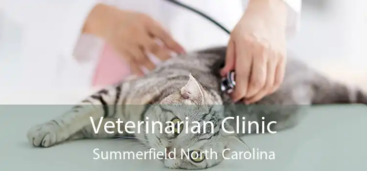 Veterinarian Clinic Summerfield North Carolina
