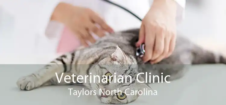 Veterinarian Clinic Taylors North Carolina