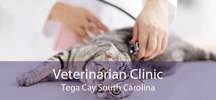 Veterinarian Clinic Tega Cay South Carolina