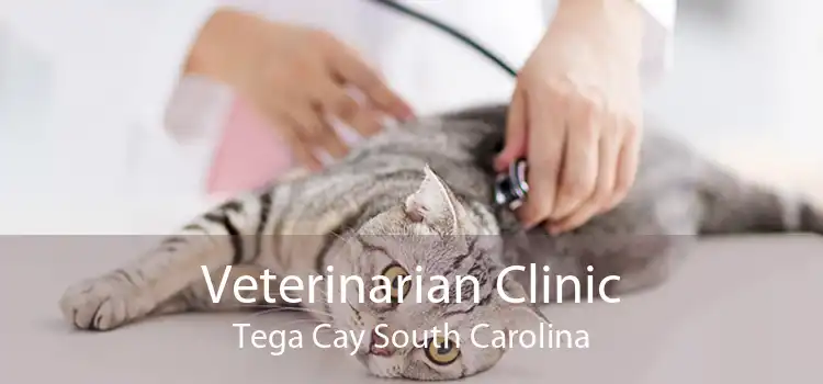 Veterinarian Clinic Tega Cay South Carolina