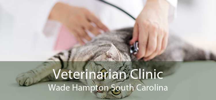 Veterinarian Clinic Wade Hampton South Carolina