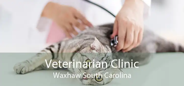Veterinarian Clinic Waxhaw South Carolina