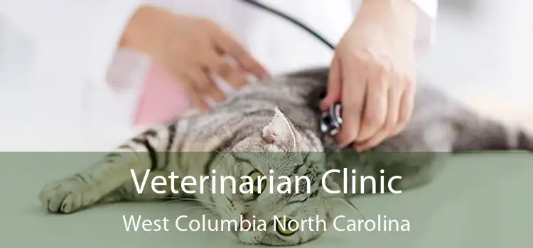 Veterinarian Clinic West Columbia North Carolina