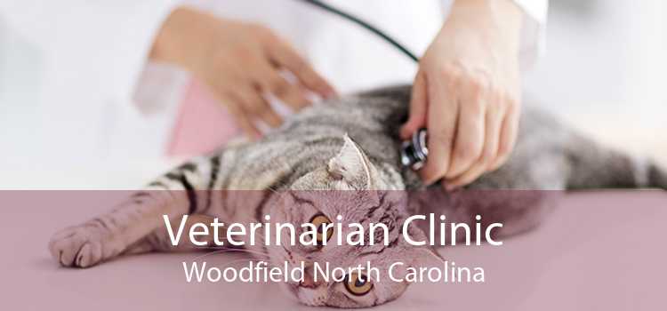 Veterinarian Clinic Woodfield North Carolina